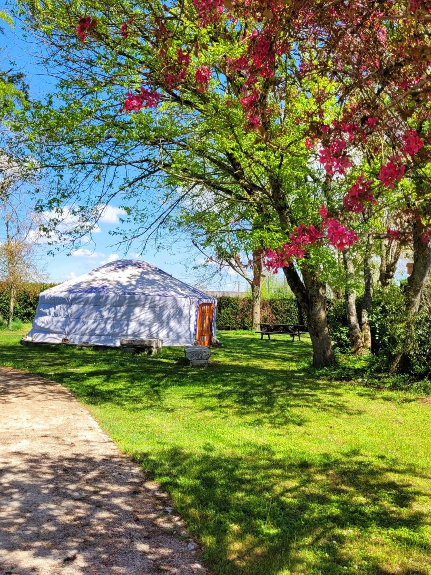 L Amalia Au Coeur Des Chateaux De La Loire Et Du Zoo De Beauval Sambin Phòng bức ảnh