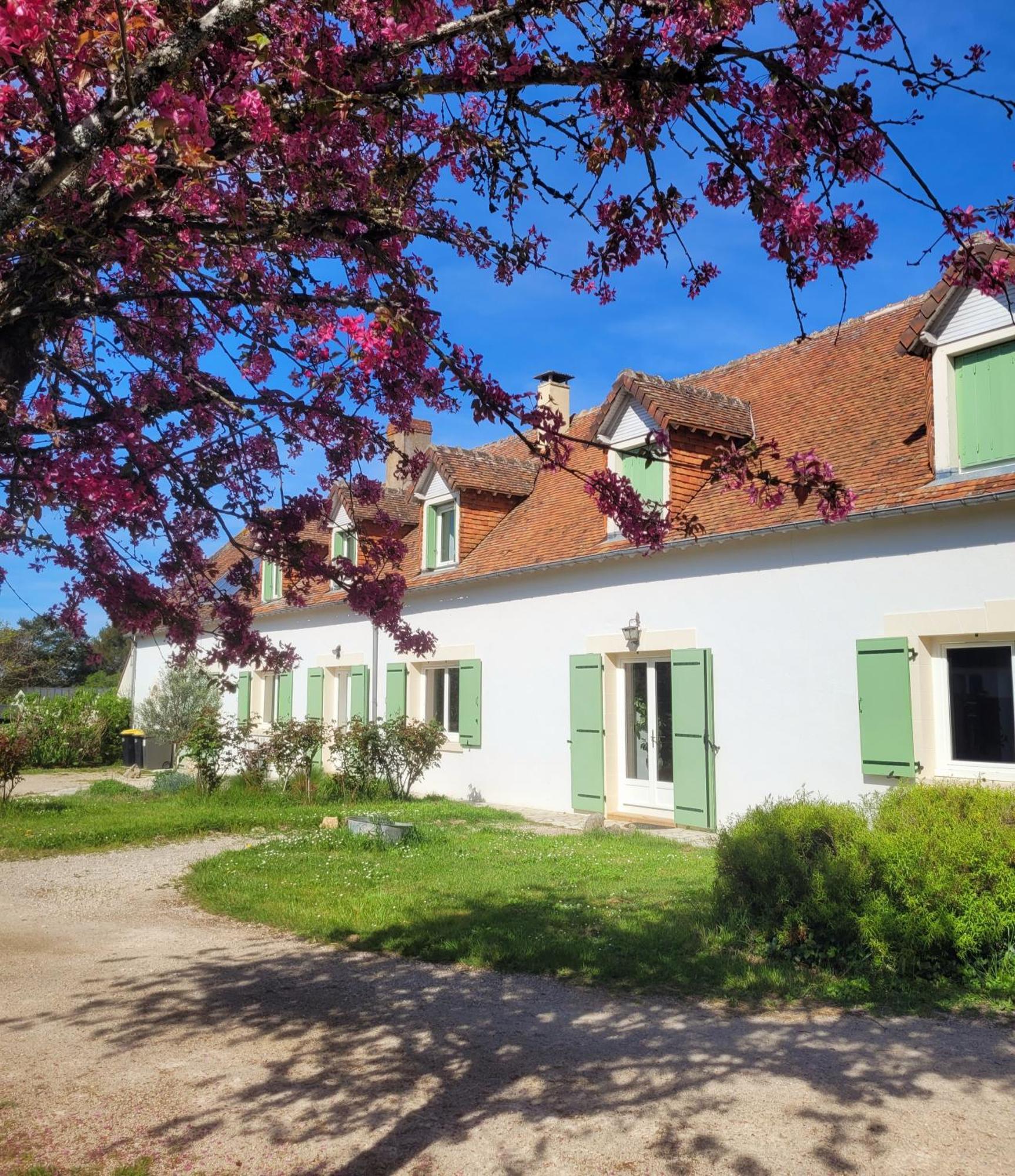 L Amalia Au Coeur Des Chateaux De La Loire Et Du Zoo De Beauval Sambin Ngoại thất bức ảnh